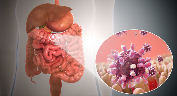 quais-os-sintomas-da-gastroenterite-viral-como-o-tratamento